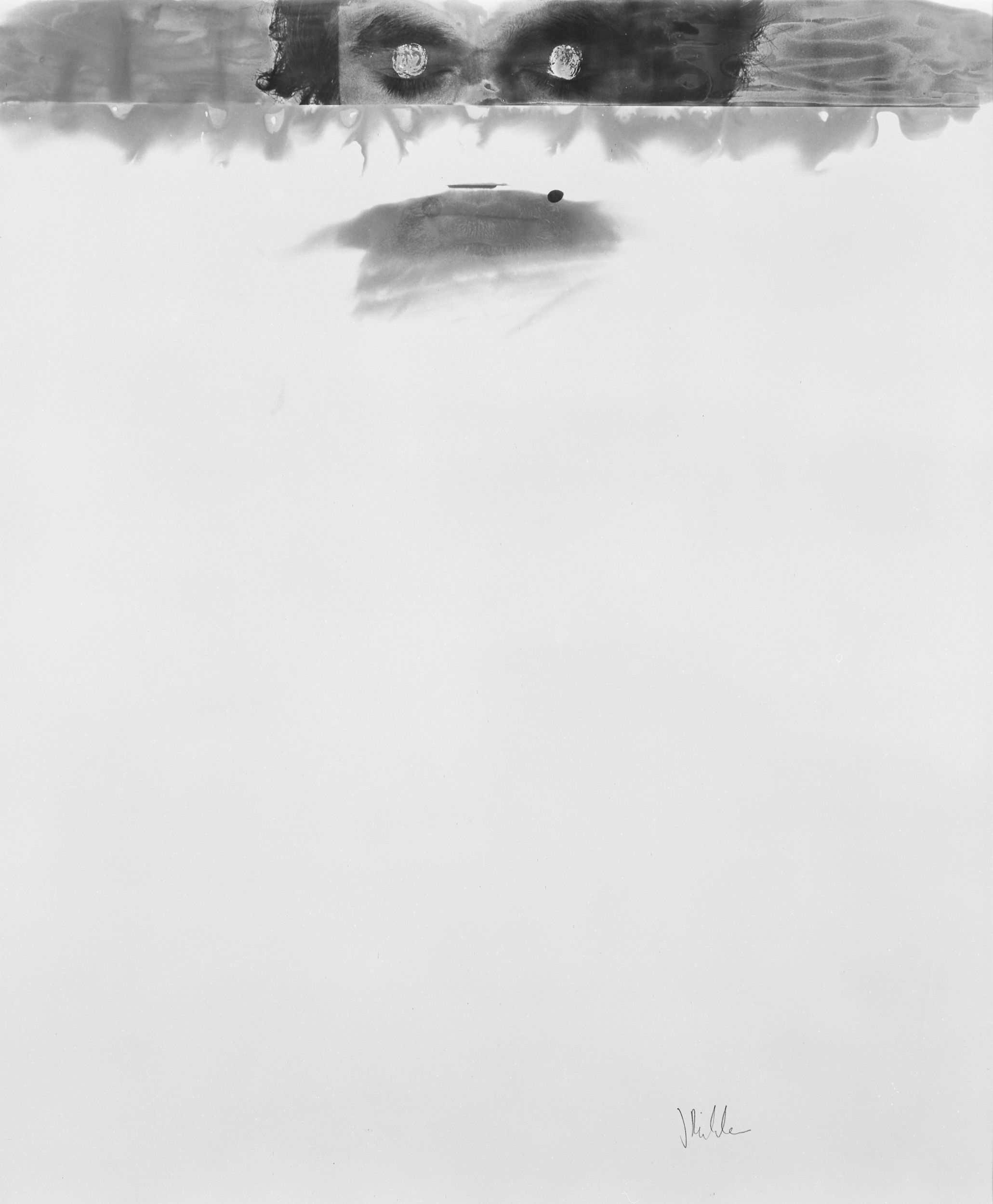 Photographic paintings