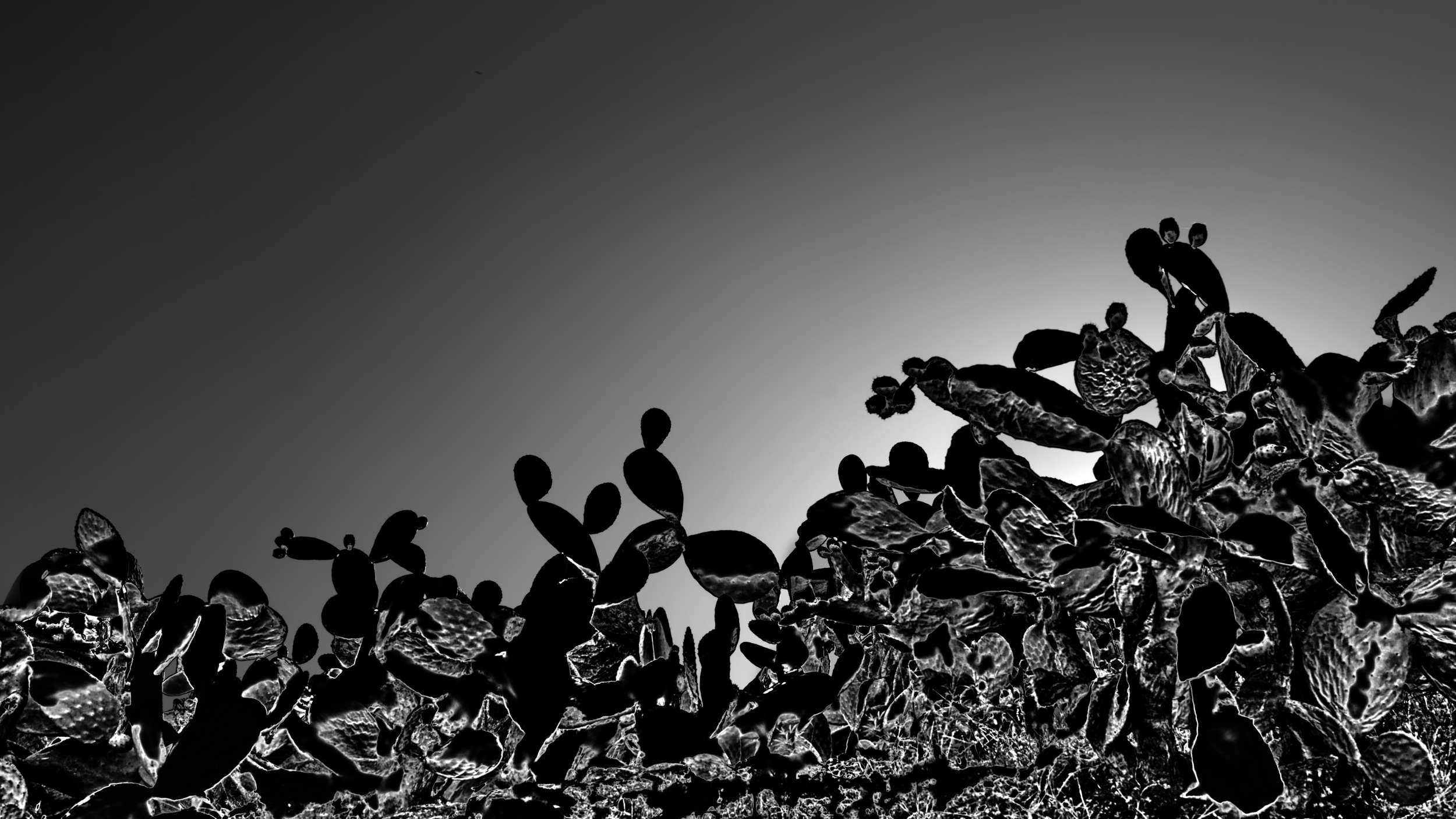 files/view/open_minded_sun/Joachim_Richter_Open_minded_sun_14.jpg