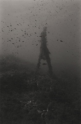 The wanderer